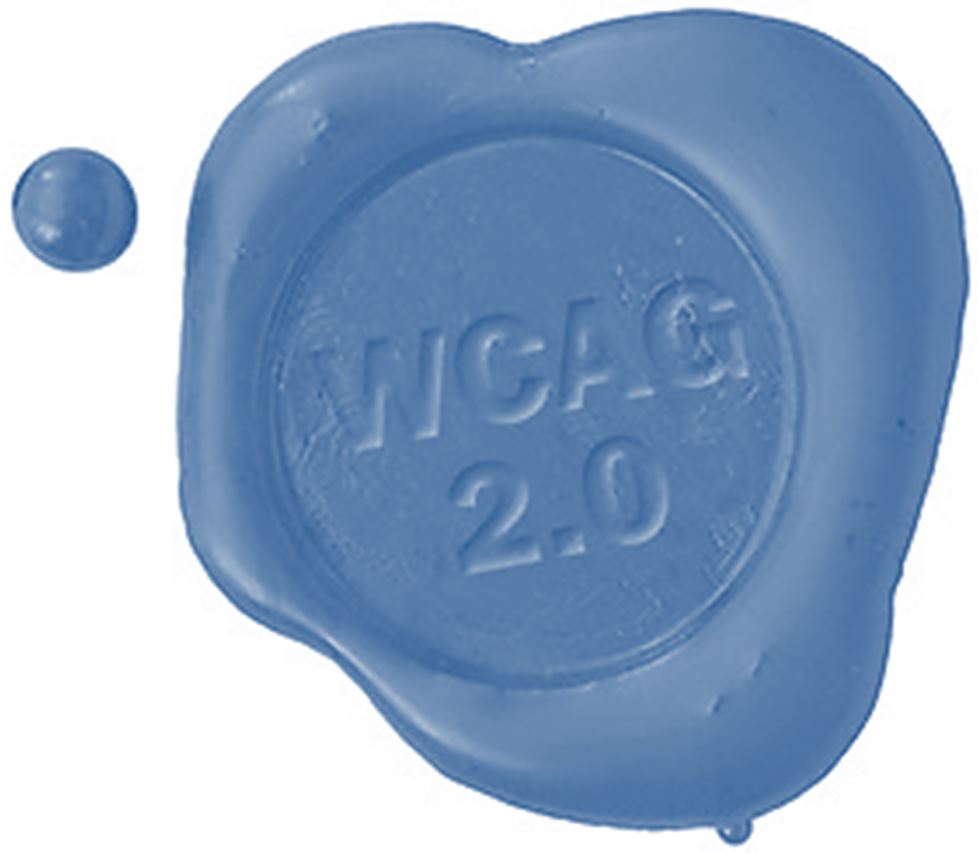 logo de la wcag 2.0